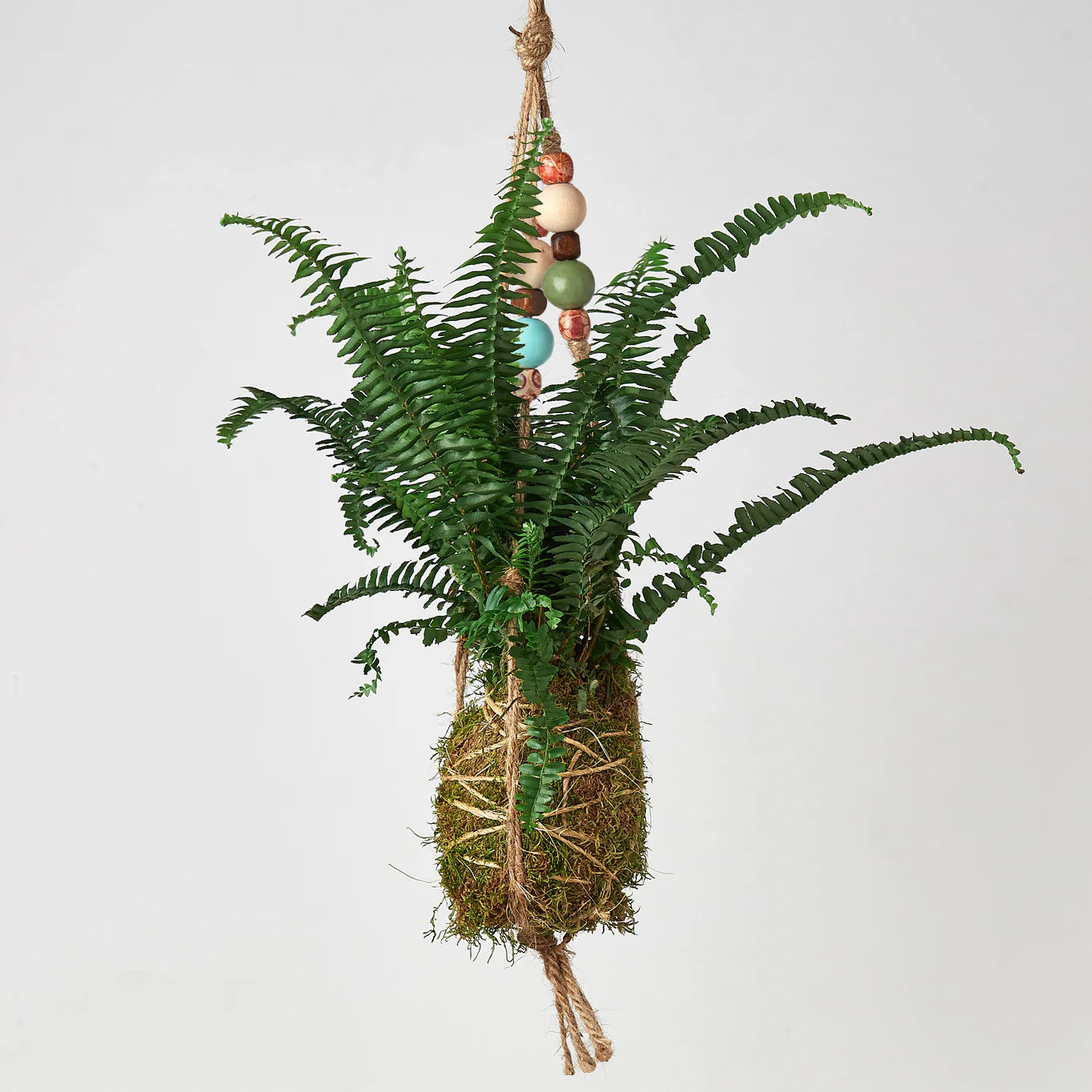 KOKEDAMA Fern Jester Beads